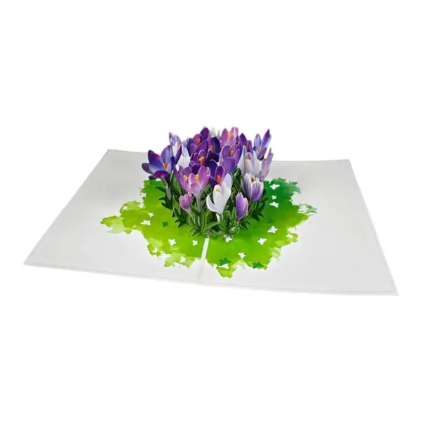3D Kartka - Szafran