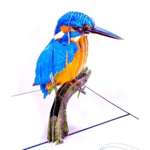 lednacek_detail.jpg 3D Kartka - Zimorodek