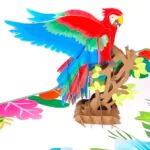 parrot_detail.jpg 3D Kartka - Papuga