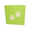 3D Kartka - Border collie