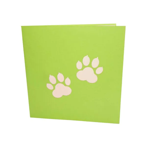 3D Kartka - Border collie