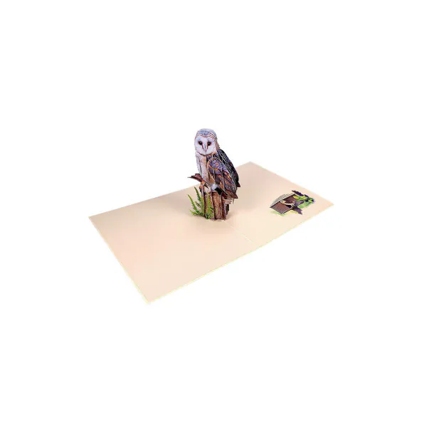 3D Kartka - Sowa